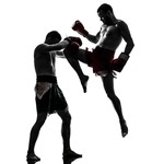 Бокс и боевые искусства